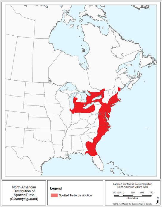 Distribution of the Spotted Turtle in North America