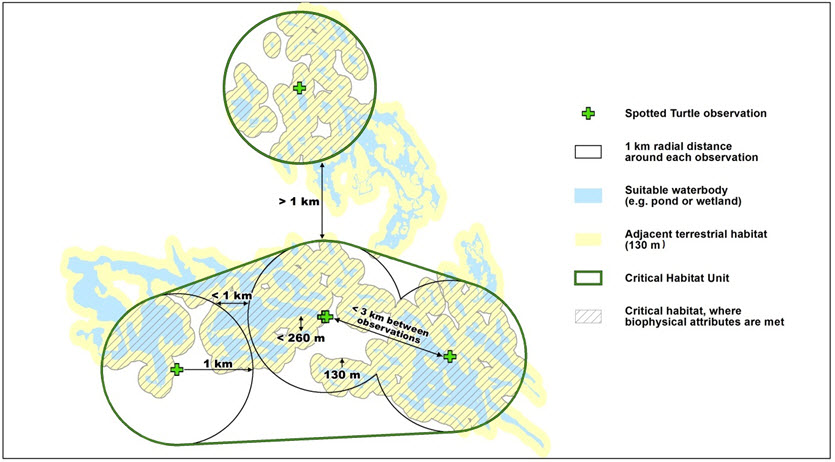Schematic of Critical Habitat Criteria for Spotted Turtle