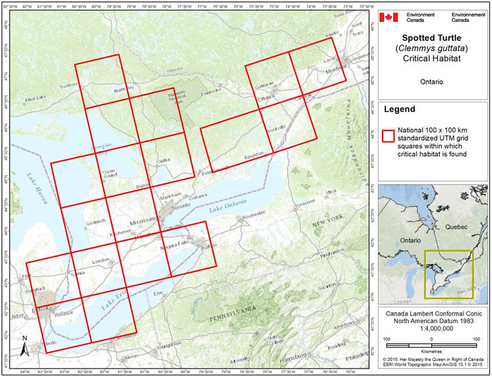 Grid squares that contain critical habitat