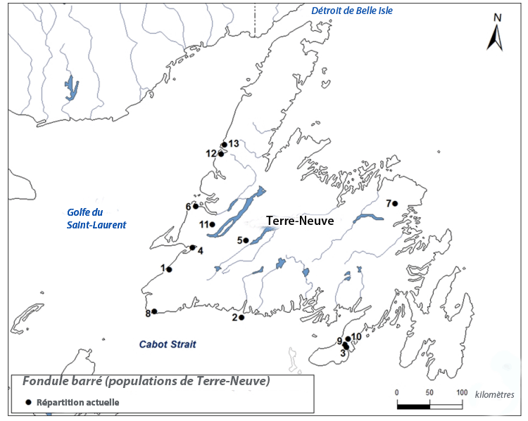Insérer le texte ici.