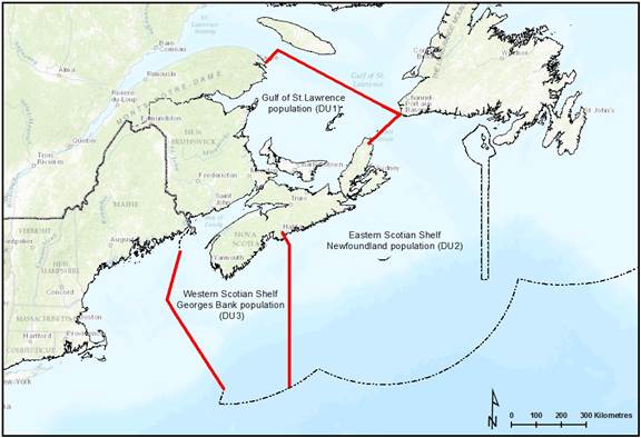 Map of Gulf of St. Lawrence (see long description below)