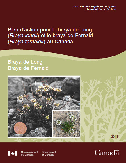 Photo de l'image de document 