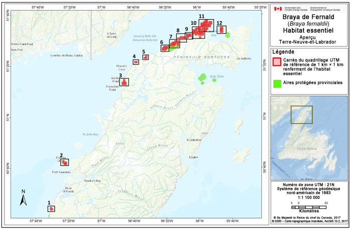 Aperçu de la carte Terre-Neuve-et-Labrador (voir longue description ci-dessous)
