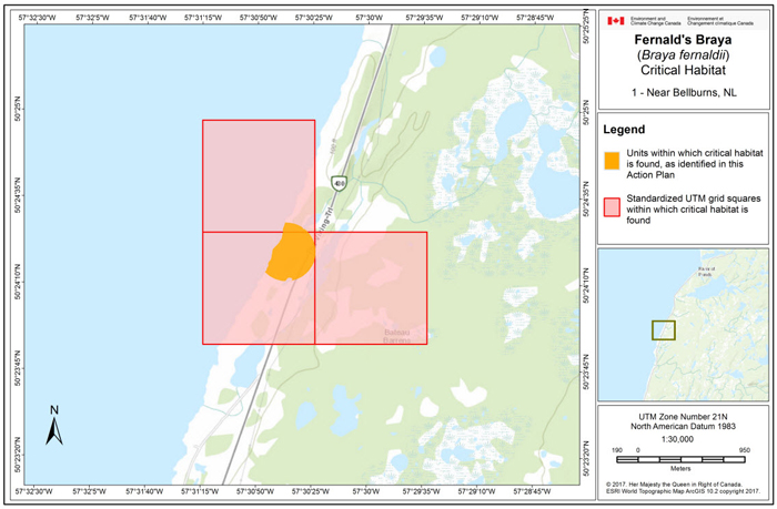 Map of near Belburns, NL (see long description below)