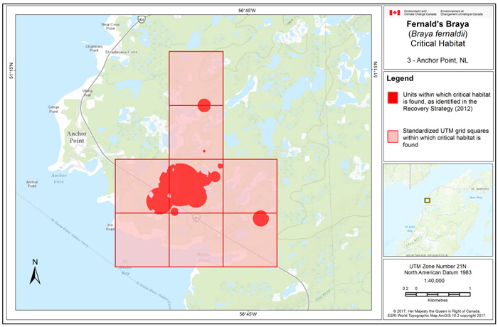 Map of Anchor Point, NL (see long description below)