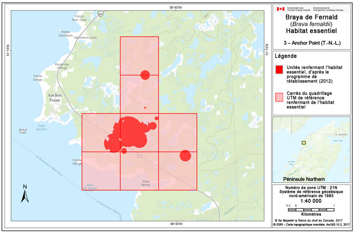 Carte d'Anchor Point (T.-N. L.) (voir longue description ci-dessous)