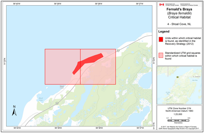Map of Shoal Cove, NL (see long description below)