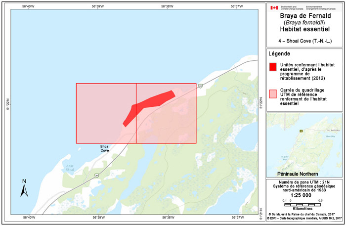 Carte de Shoal Cove (T.-N.-L.) (voir longue description ci-dessous)