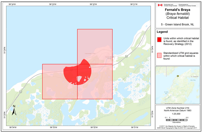 Map of Green Island Brook, NL (see long description below)