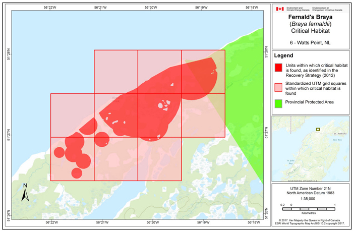 Map of Watts Point, NL (see long description below)