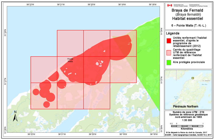 Carte de Pointe Watts (T.-N.-L.) (voir longue description ci-dessous)