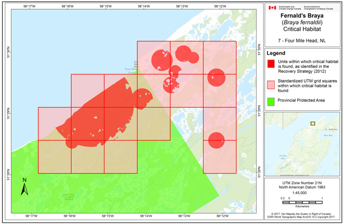 Map of Four Mile Head, NL (see long description below)
