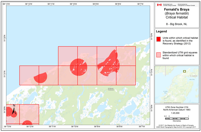 Map of Big Brook, NL (see long description below)