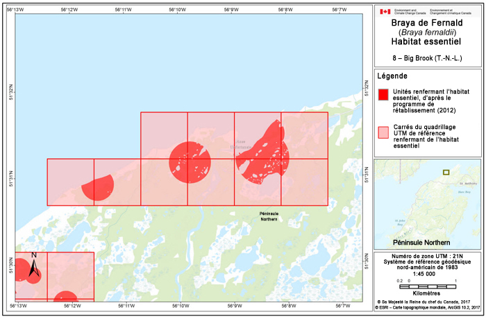 Carte de Big Brook (T.-N.-L.) (voir longue description ci-dessous)