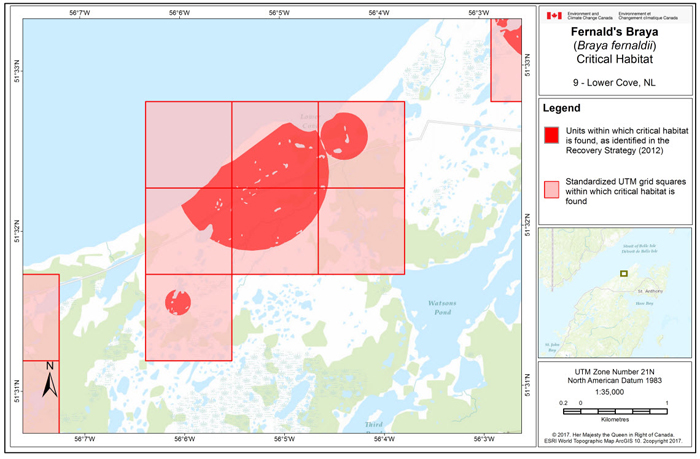 Map of Lower Cove, NL (see long description below)