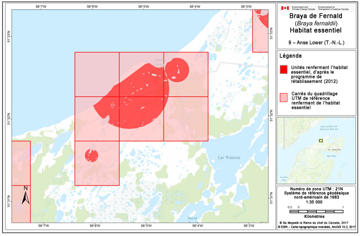 Carte de Anse Lower (T.-N.-L.) (voir longue description ci-dessous)