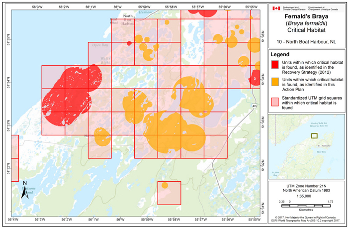 Map of North Boat Harbour, NL (see long description below)