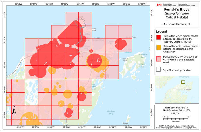 Map of Cooks Harbour, NL (see long description below)