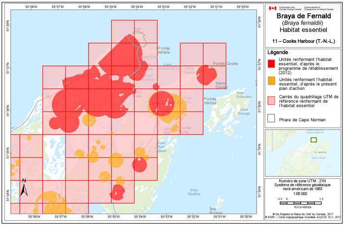 Carte de Cooks Harbour (T.-N.-L.)  (voir longue description ci-dessous)