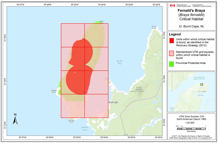 Map of Burnt Cape, NL (see long description below)