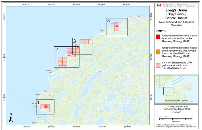 Map of critical habitat Newfoundland and Labrador (see long description below)