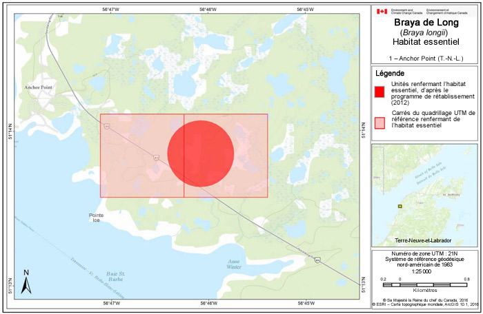 Carte de Anchor Point (T.-N.-L.) (voir longue description ci-dessous)