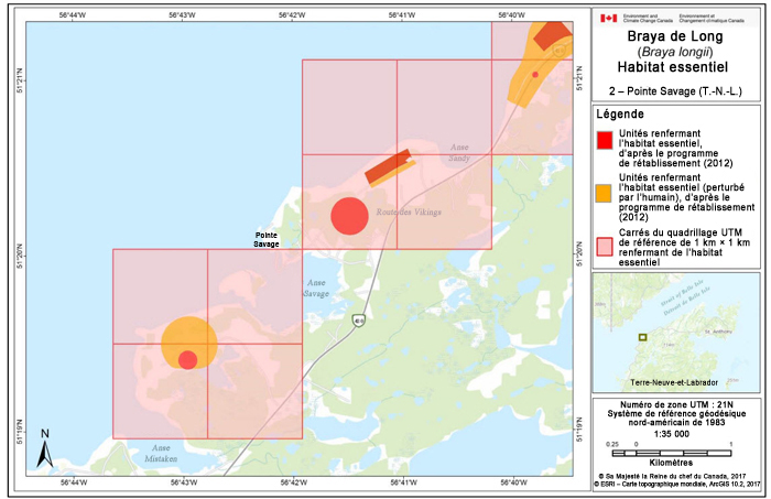 Carte de Pointe Savage (T.-N.-L.) (voir longue description ci-dessous)
