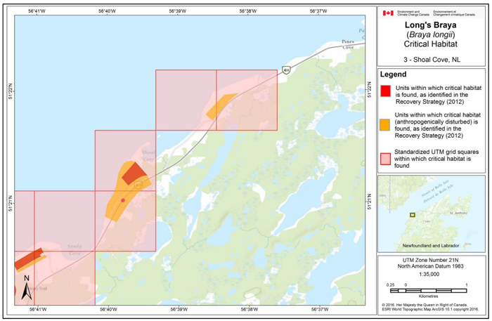 Map of Shoal Cove, NL (see long description below)