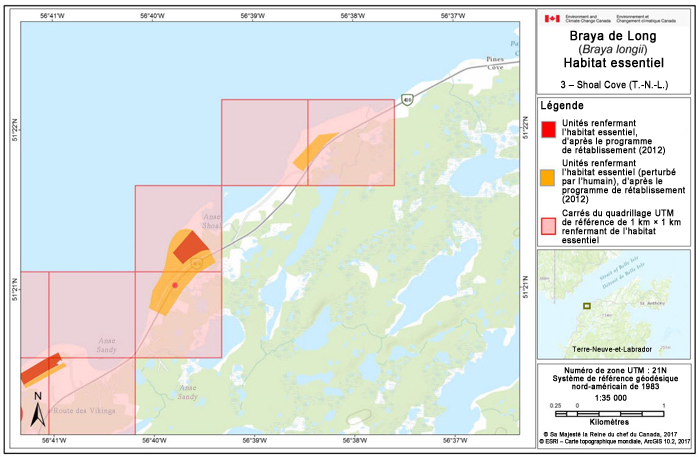 Carte de Shoal Cove (T.-N.-L.) (voir longue description ci-dessous)