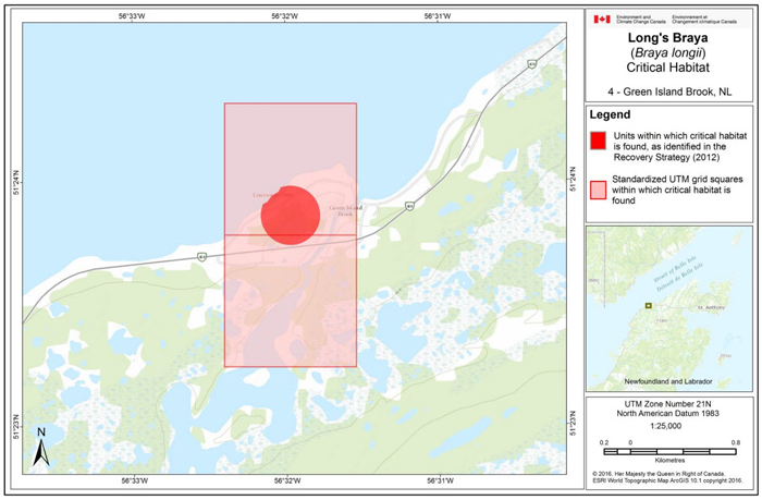 Map of Green Island Brook, NL (see long description below)
