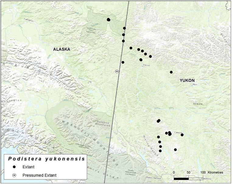 Global localities of Yukon Podistera