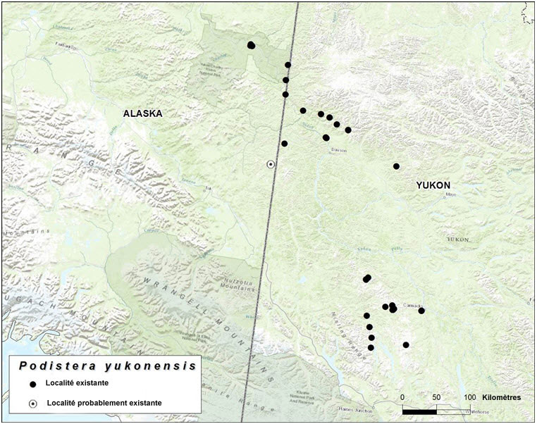 Localités du podistère du Yukon