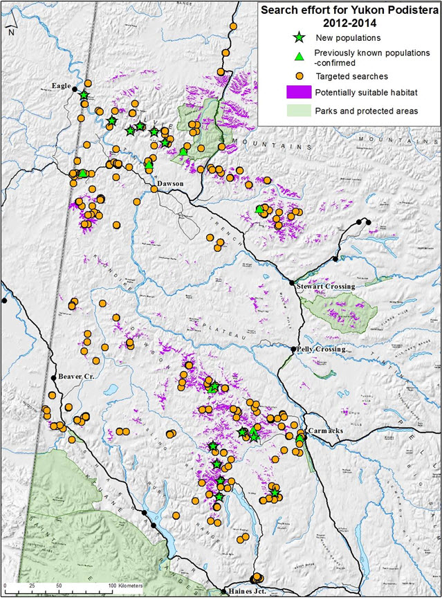 Search effort for Yukon Podistera map