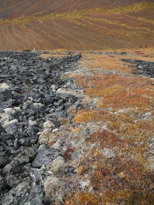 Yukon Podistera site southeast of Apex Mountain