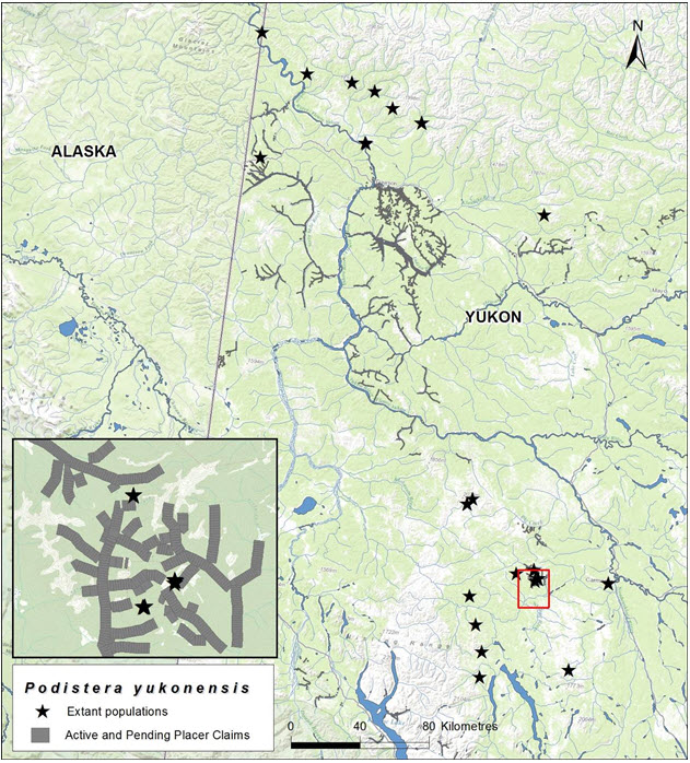 Active and pending placer claims as of November 12, 2013