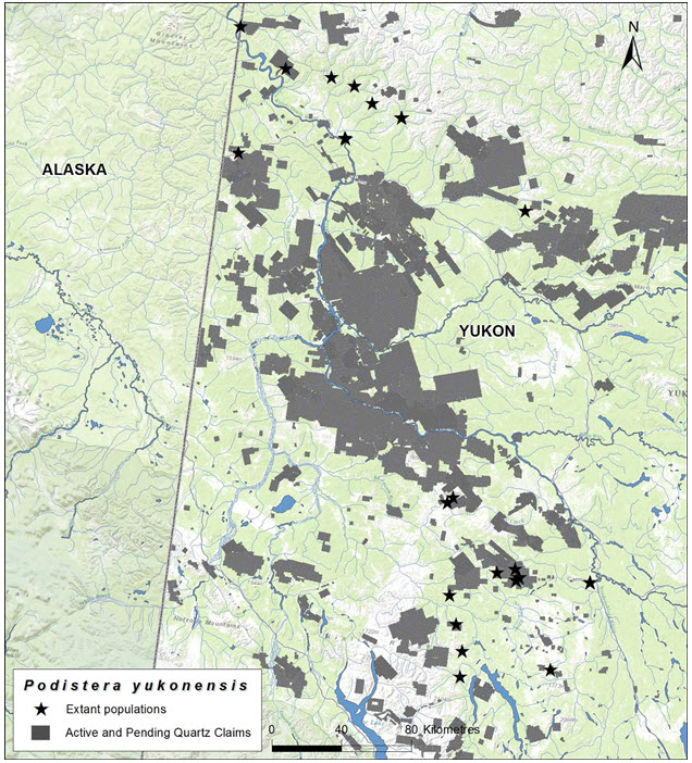 Active and pending quartz claims as of November 12, 2013