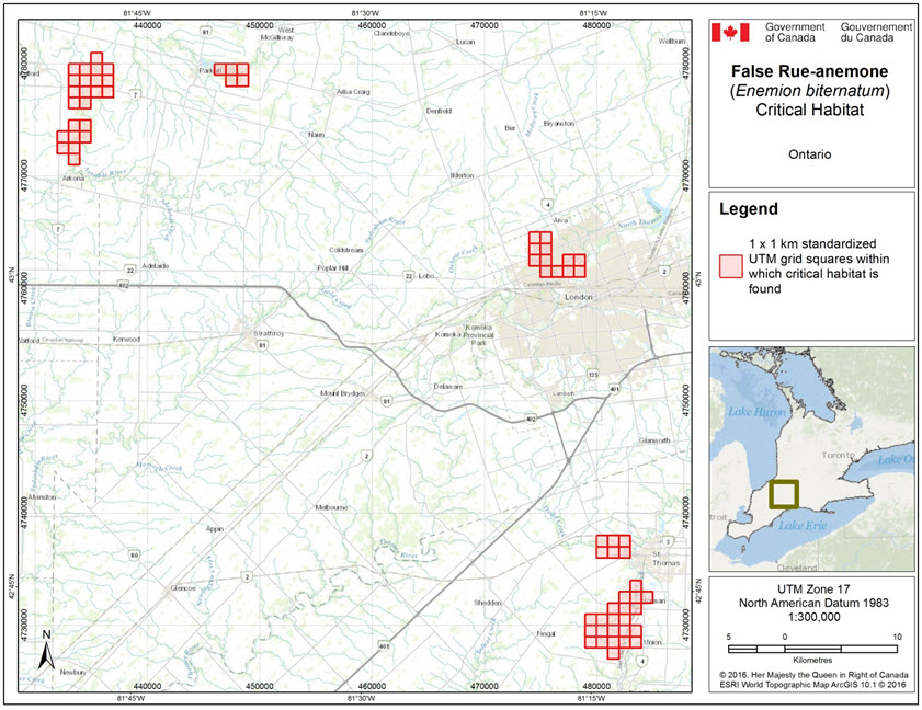Grid squares that contain critical habitat