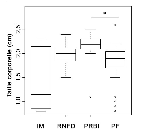Taille de la coquille  de l’Anguispira kochi kochi représentée par médiane