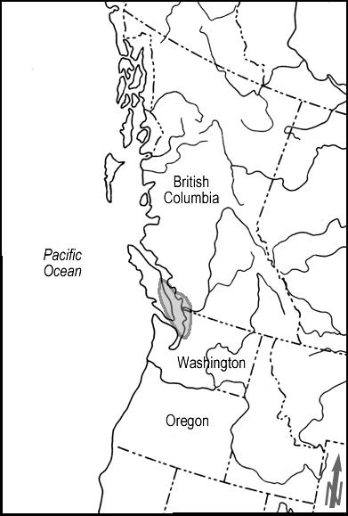 Description of this image follows