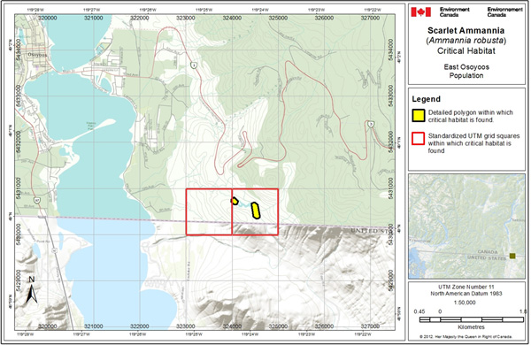 Figure A1. Critical habitat for Scarlet Ammannia at East Osoyoos, B.C. (See long description below)