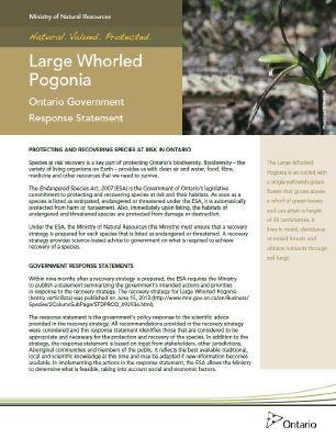 Cover of publication: Provincial - Part 3