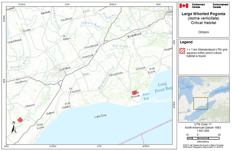 Ontario Map: Critical habitat for Large Whorled Pogonia