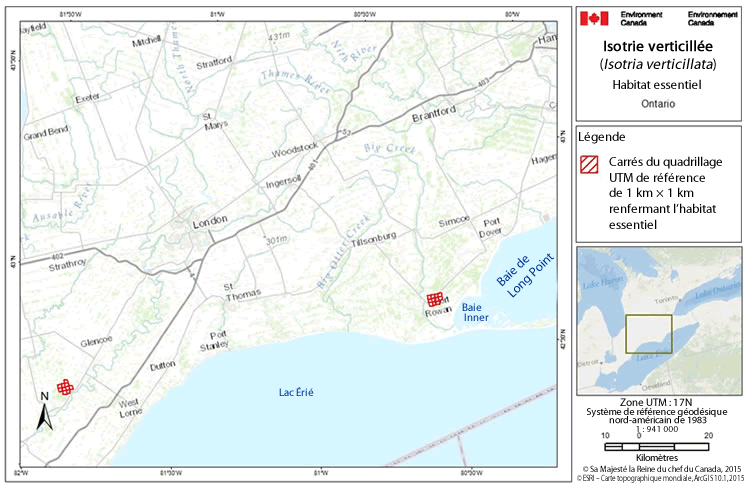 Carte : Habitat essentiel - Isotrie verticillée