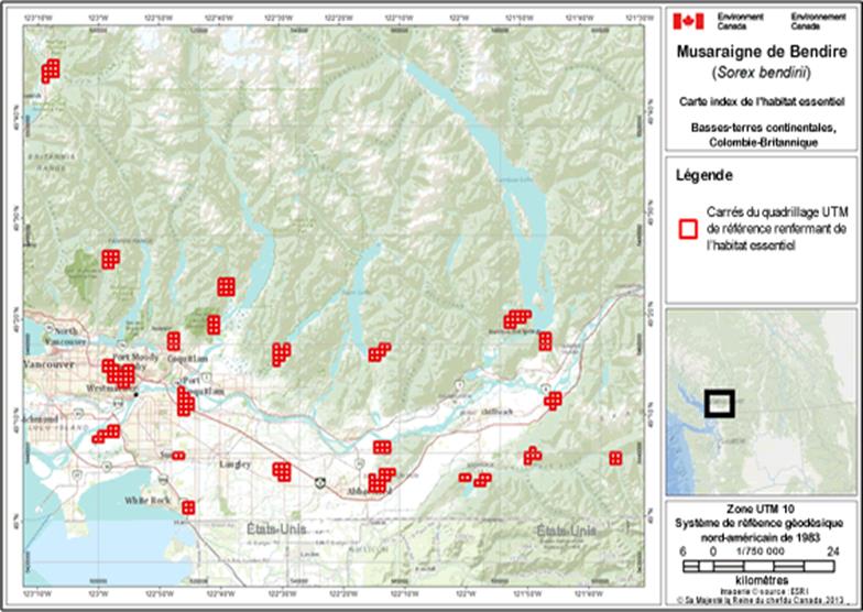 Image de la carte A1