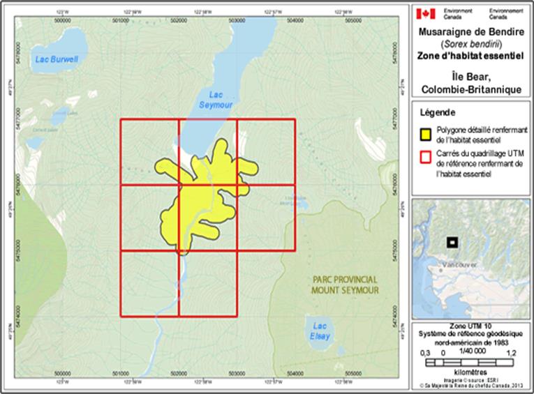 Image de la carte A3