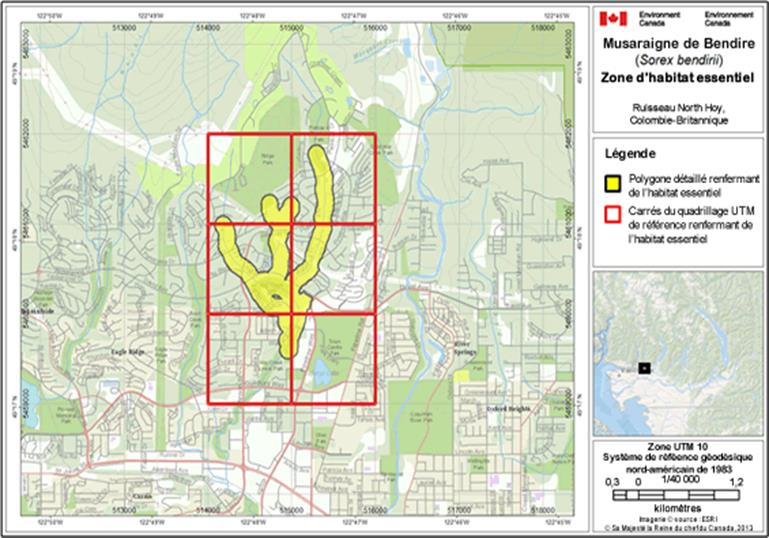 Image de la carte A6