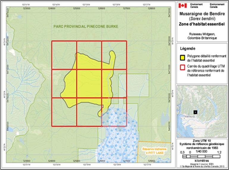 Image de la carte A7