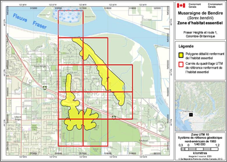Image de la carte A9