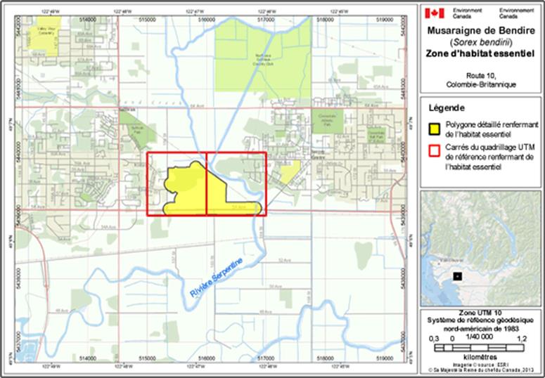 Image de la carte A10