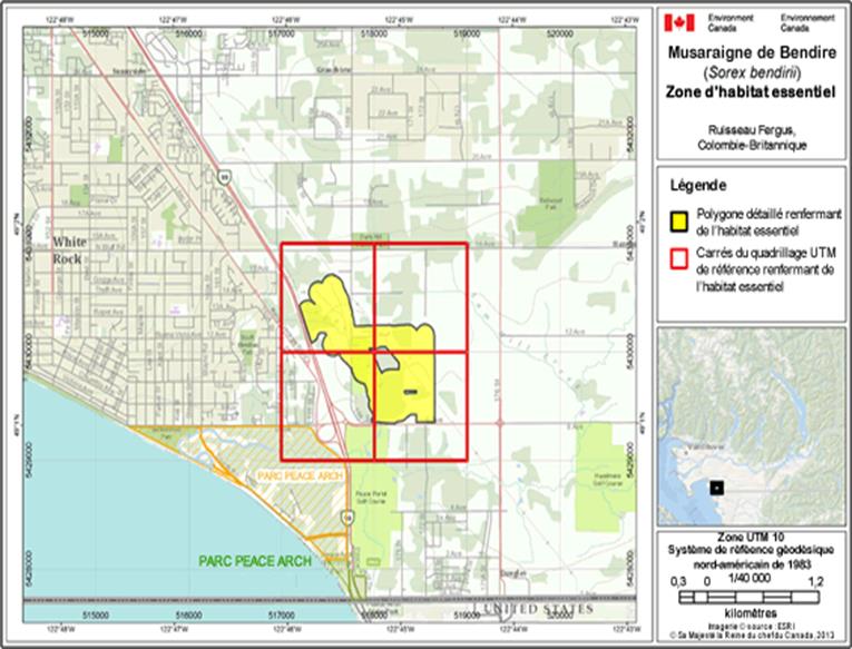 Image de la carte A11